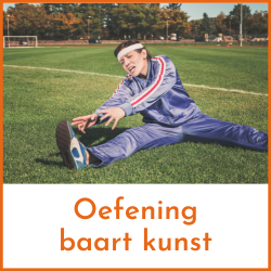 Conversatielessen Nederlands